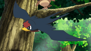 NB142 - Nirondelle.png