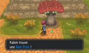 Route 16 Baie Prine XY.png