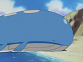 Wailord (sauvage)