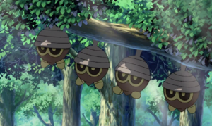 Film 11 Intro - Grainipiot sauvages.png