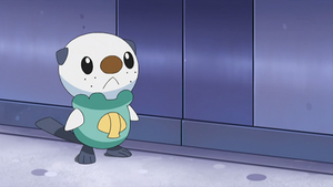 NB081 - Moustillon de Sacha.png