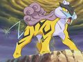 Raikou (sauvage)