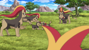 XY097 - Némélios et Hélionceau.png