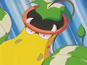 EP250 - Empiflor de James.png