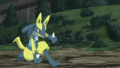 Lucario (sauvage ► de Rhod)