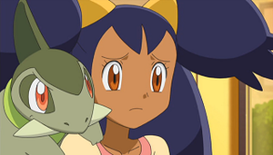 NB015 - Coupenotte d'Iris.png