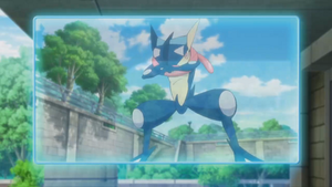 XY116 - Amphinobi de Sacha (Flash-back).png