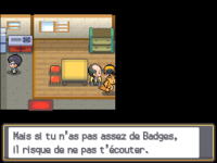 « Badges » dans Pokémon Or HeartGold et Argent SoulSilver.