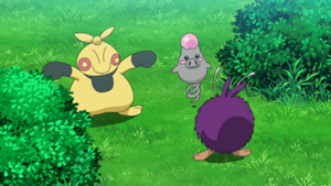 LV141 - Makuhita et Spoink.png