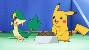 NB041 - Vipélierre et Pikachu de Sacha.png