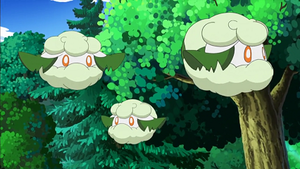 NB054 - Doudouvet.png