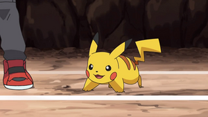 NB061 - Pikachu de Sacha.png