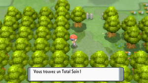 Verchamps Total Soin DEPS.png