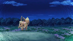 XY140 - Évoli de Serena (Flash-back).png