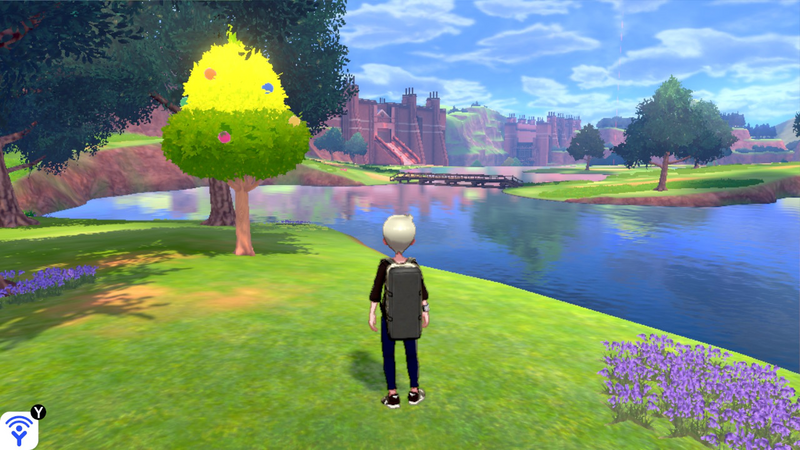 Fichier:Bois de Clairjour Arbre à Baies 2 EB.png