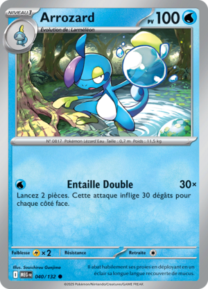 Carte Méga-Évolution 040.png