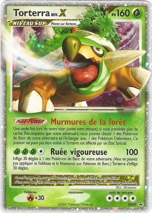 Carte Promo DP DP09.png