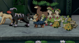 Chapignon sauvages Film 16.png