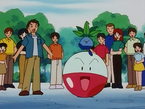 EP122 - Mystherbe et Électrode d'un Dresseur.png