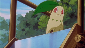 Film 03 - Germignon de Sacha.png