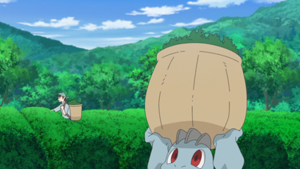 LH093 - Machoc d'un Dresseur.png