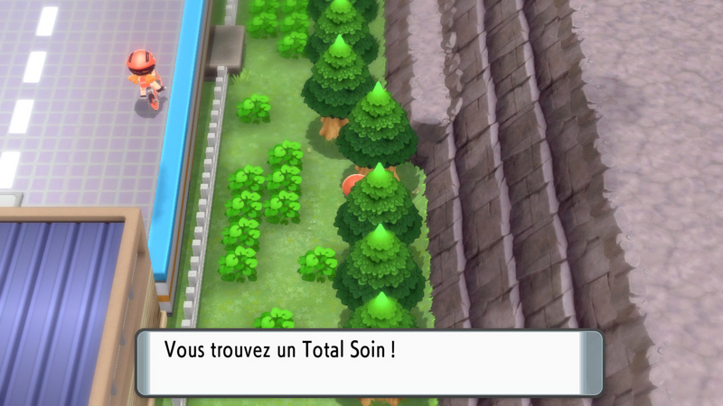 Fichier:Route 206 Total Soin DEPS.png