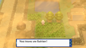 Route 228 Guérison DEPS.png