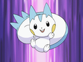 Pachirisu (d'Aurore)