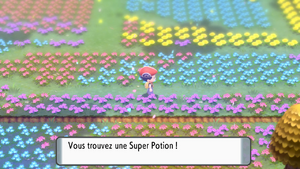 Pré de Floraville Super Potion DEPS.png