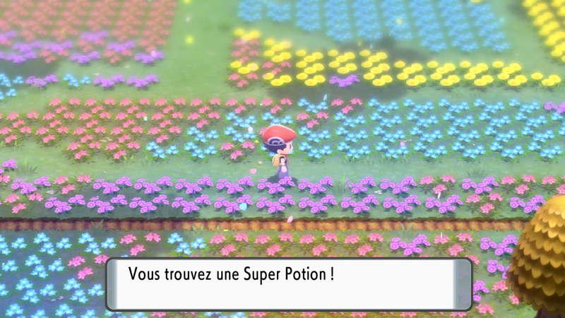 Fichier:Pré de Floraville Super Potion DEPS.png