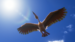 Rapasdepic sauvage - Film 22.png