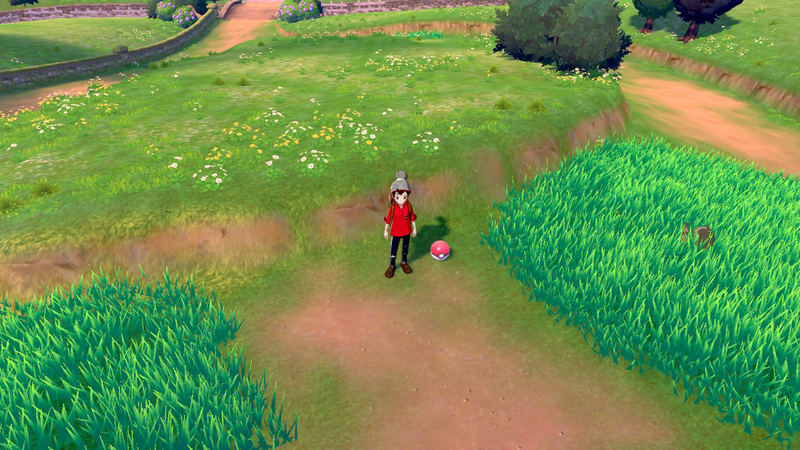 Fichier:Route 1 Potion EB.png