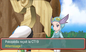 Arène de Cimetronelle CT19 ROSA.png