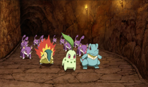 Rattata sauvages - Film 12.png