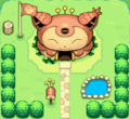 Base extérieure Skitty En fin d'aventure
