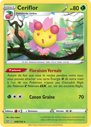 Carte Épée et Bouclier Styles de Combat 008.png