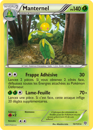Carte Noir & Blanc Tempête Plasma 10.png