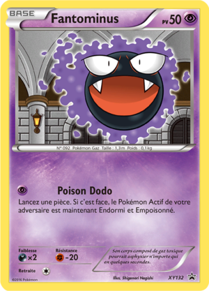 Carte Promo XY XY132.png