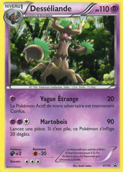 Fichier:Carte Promo XY XY14.png