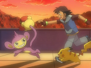 DP123 - Capumain et Pikachu de Sacha (Flash-back).png