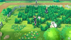 Expert Dardargnan.jpg