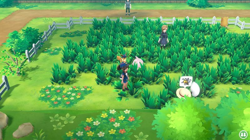 Fichier:Expert Dardargnan.jpg