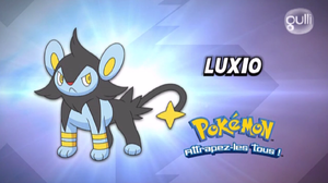 FR - QECP XY48.png