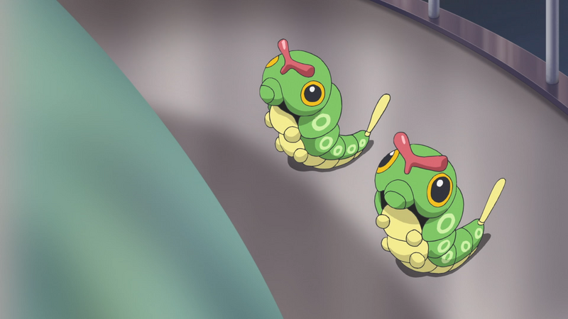 Fichier:LH005 - Chenipan.png
