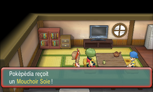 Myokara Mouchoir Soie ROSA.png