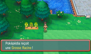 Route 123 Grosse Racine ROSA.png