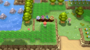 Route 224 Arbres à Baies DEPS.png