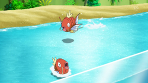 XY022 - Magicarpe.png