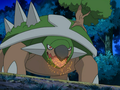 Torterra (de Paul)