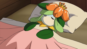 NB059 - Fragilady de Louis.png